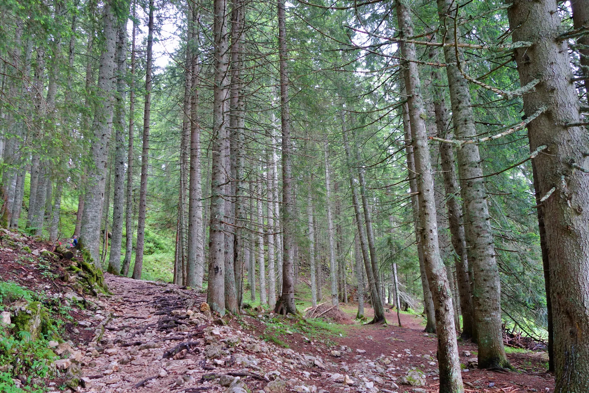 crno-jezero-durmitor-11