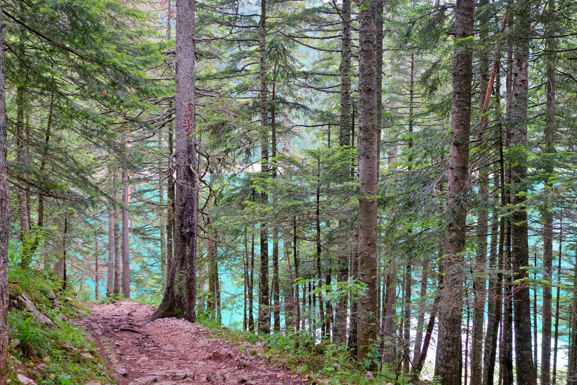 crno-jezero-durmitor-12