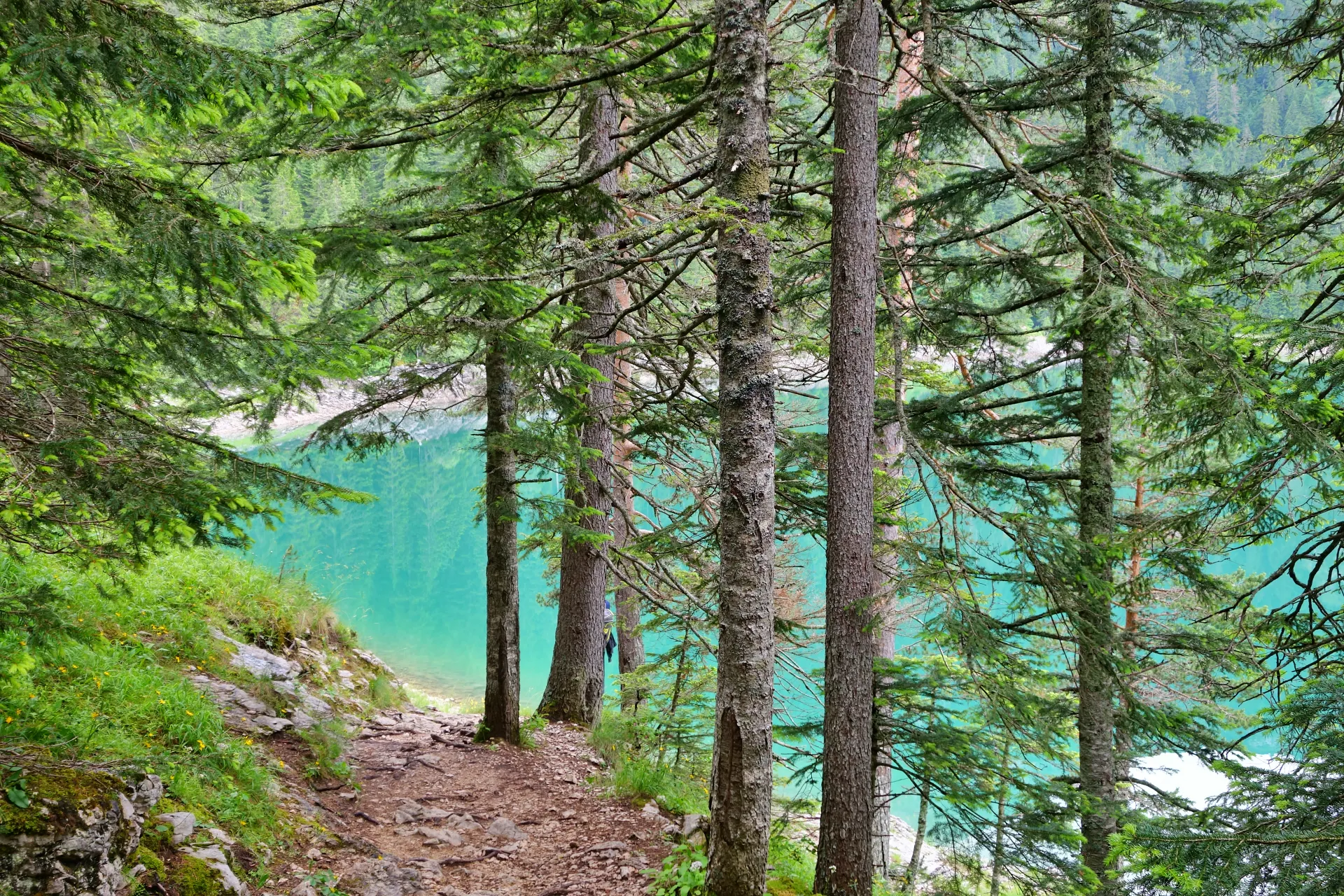 crno-jezero-durmitor-13