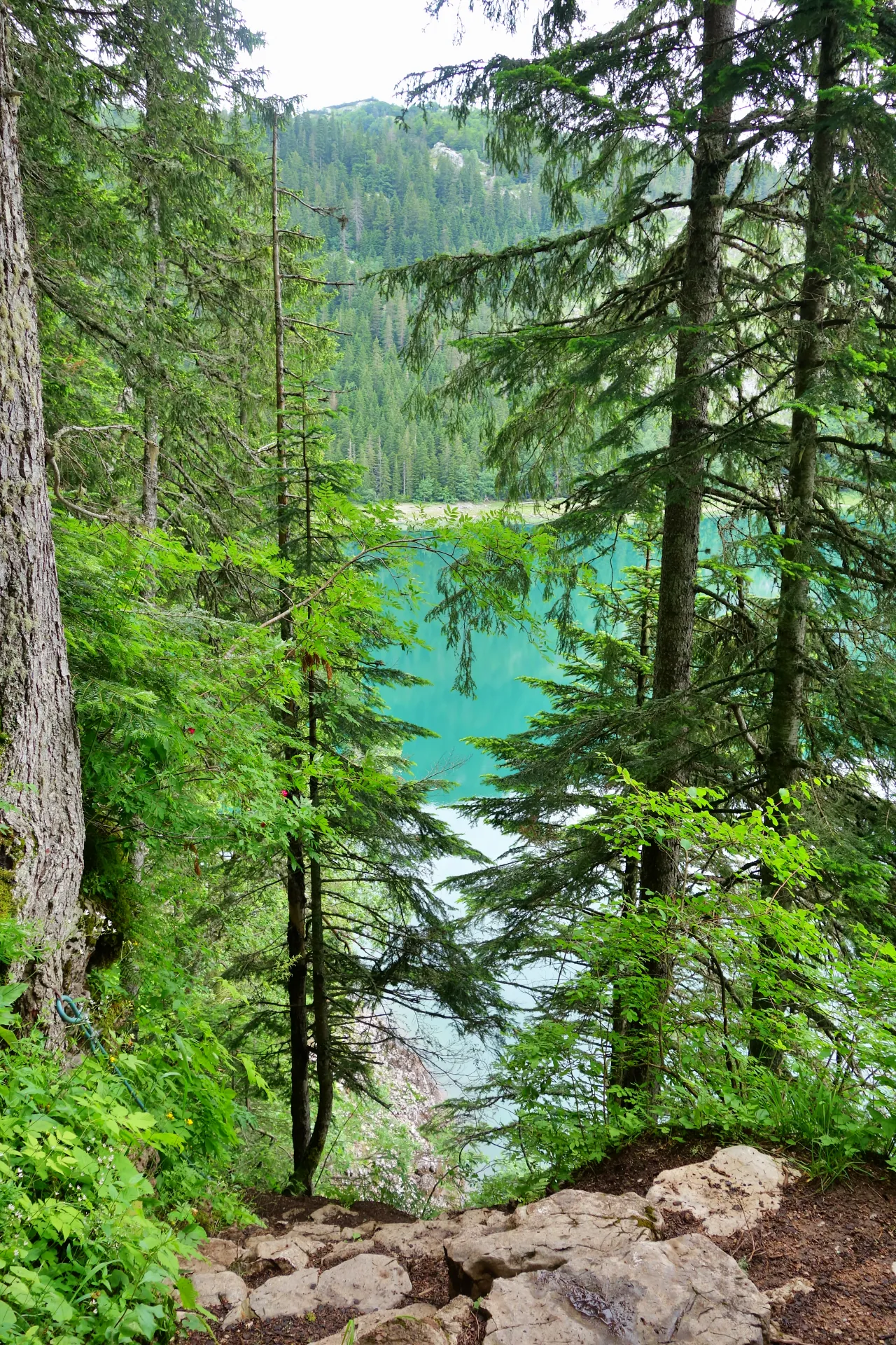 crno-jezero-durmitor-14