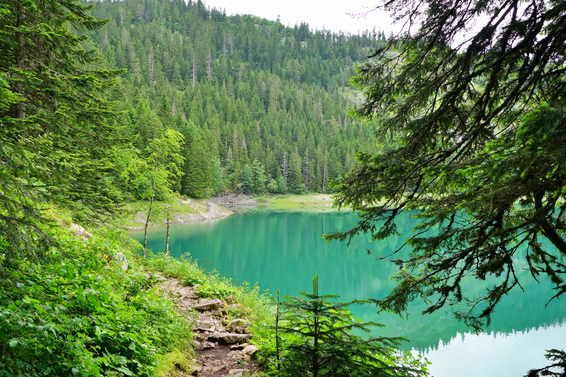 crno-jezero-durmitor-15