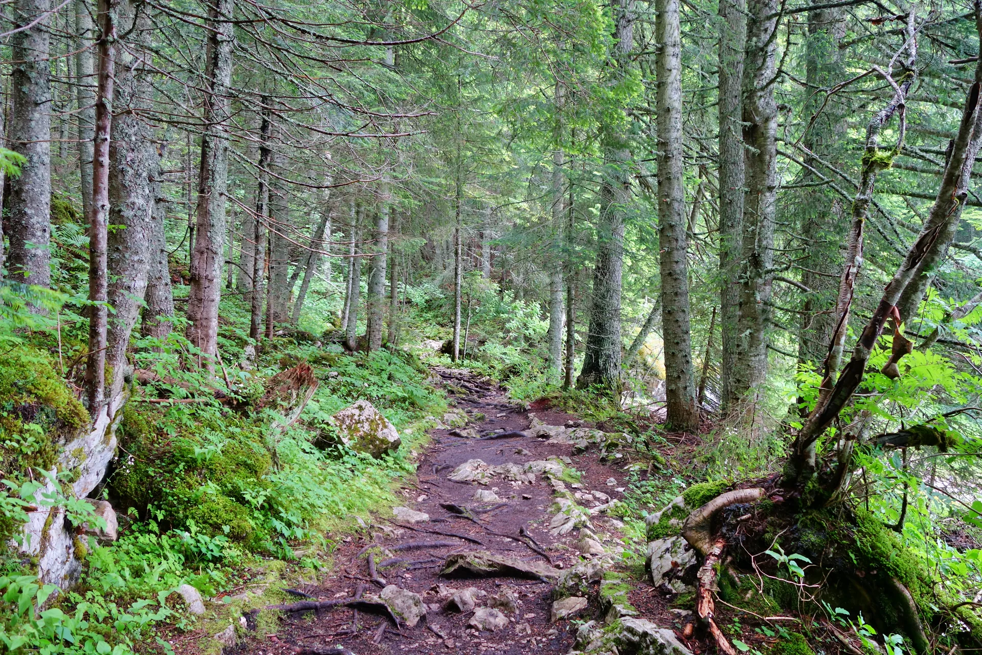 crno-jezero-durmitor-17