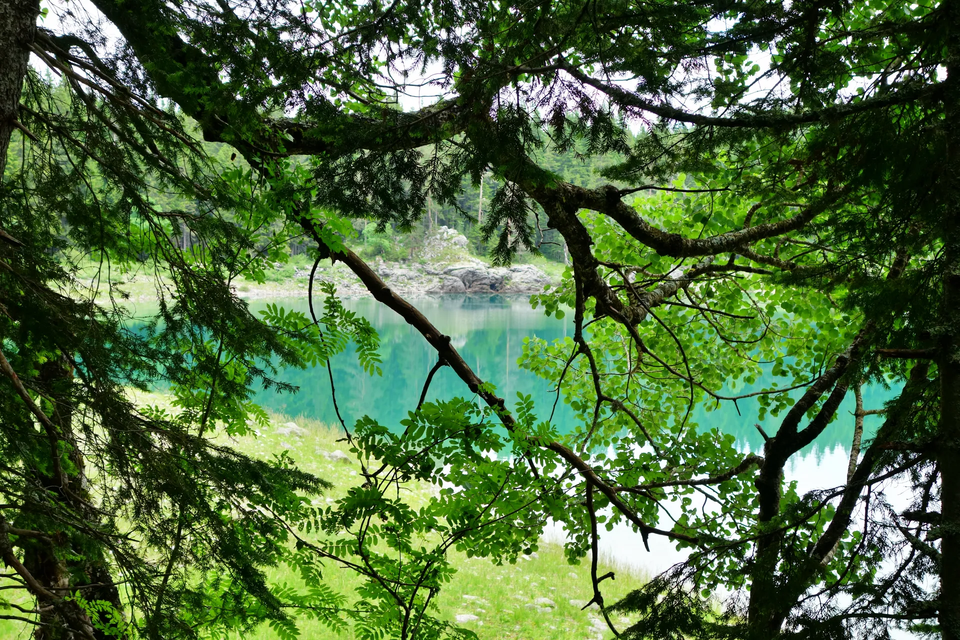 crno-jezero-durmitor-18