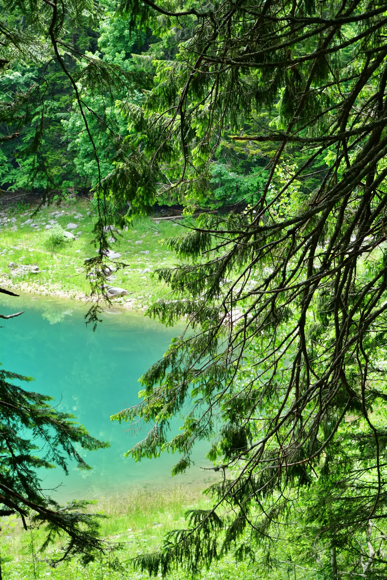 crno-jezero-durmitor-19