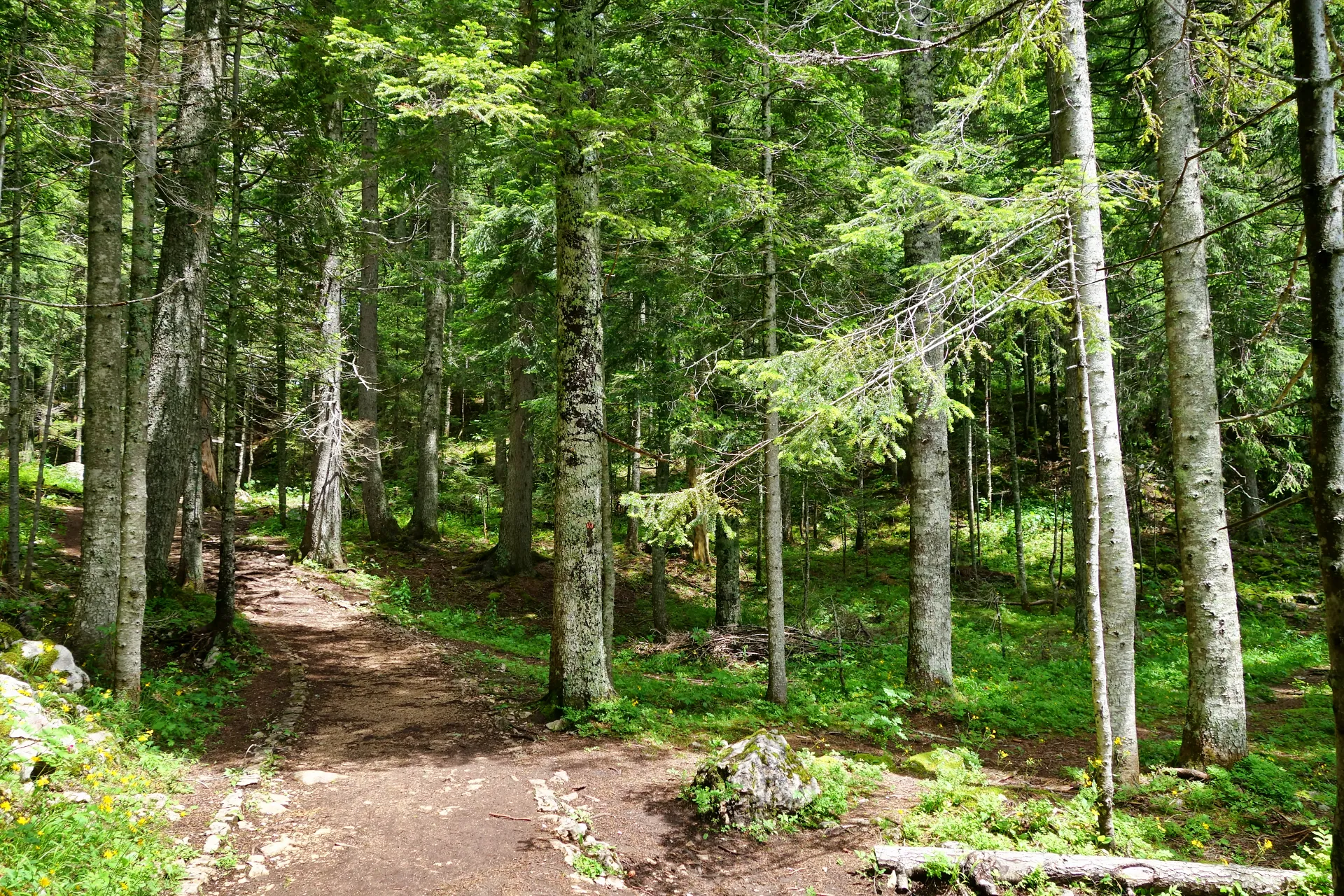 crno-jezero-durmitor-21