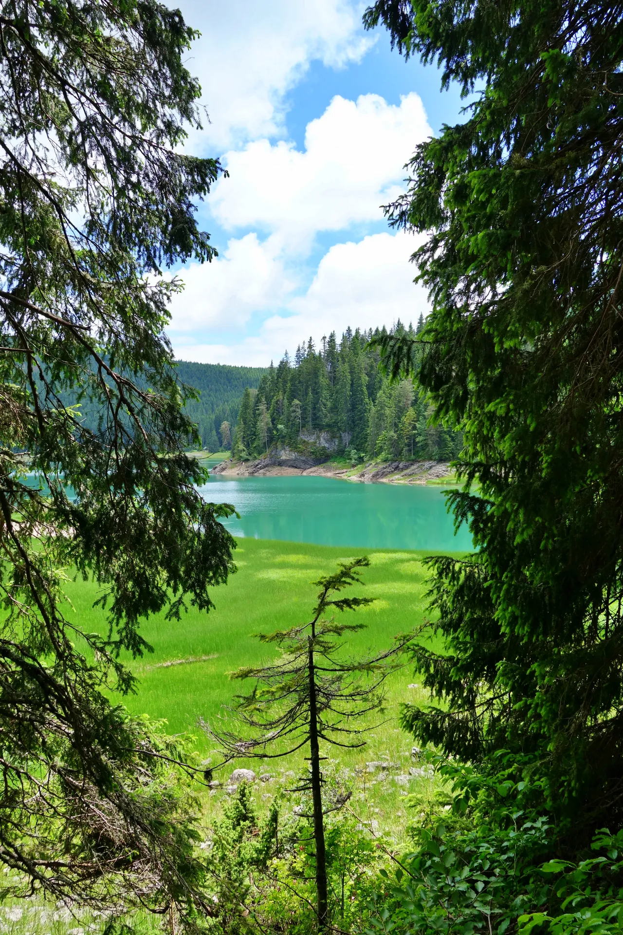 crno-jezero-durmitor-23