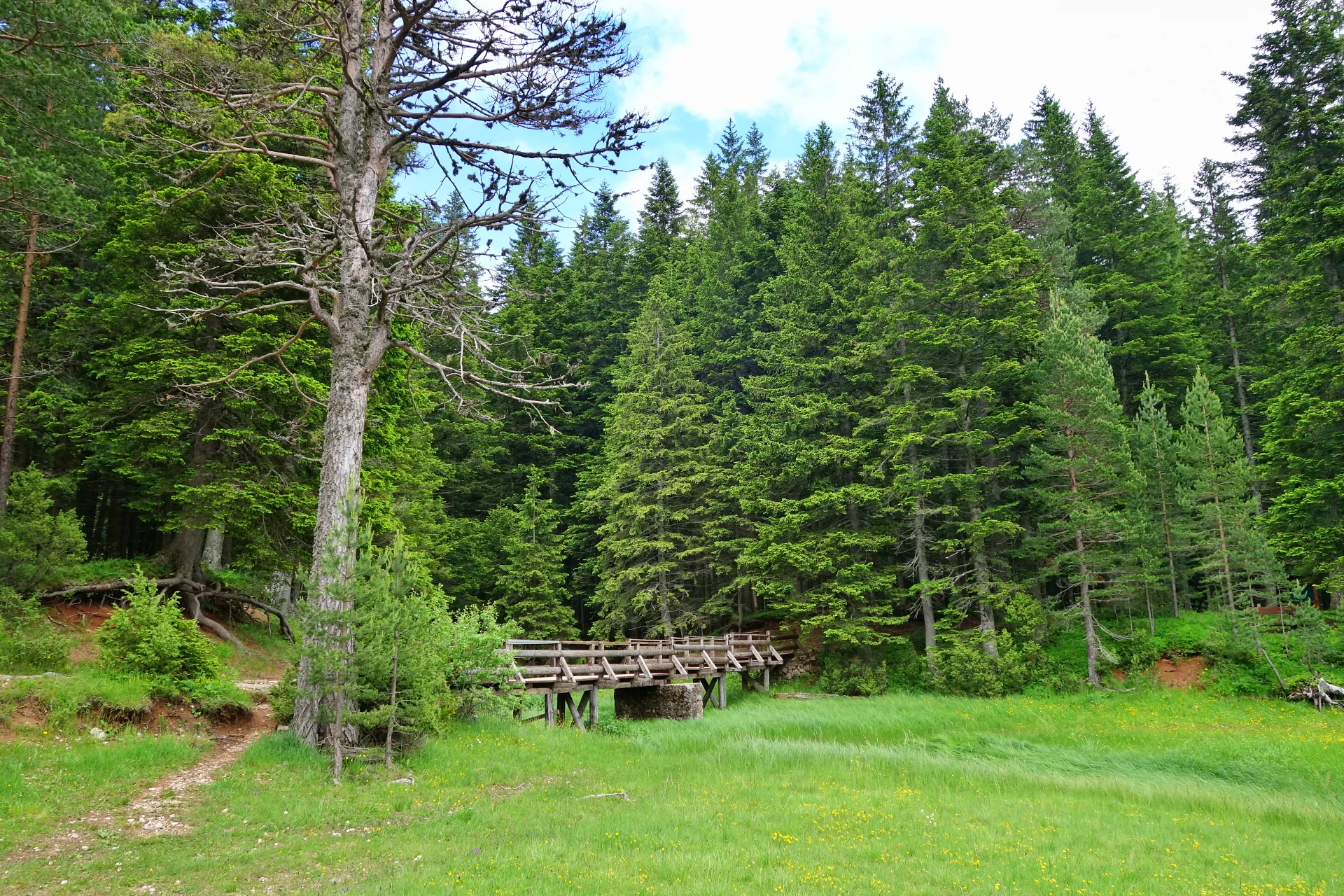 crno-jezero-durmitor-24