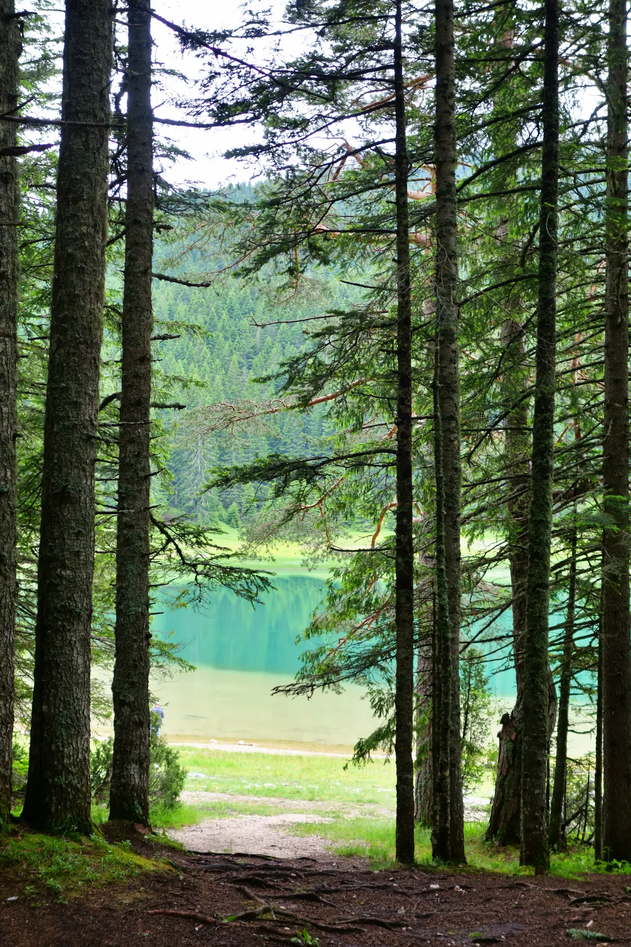 crno-jezero-durmitor-6