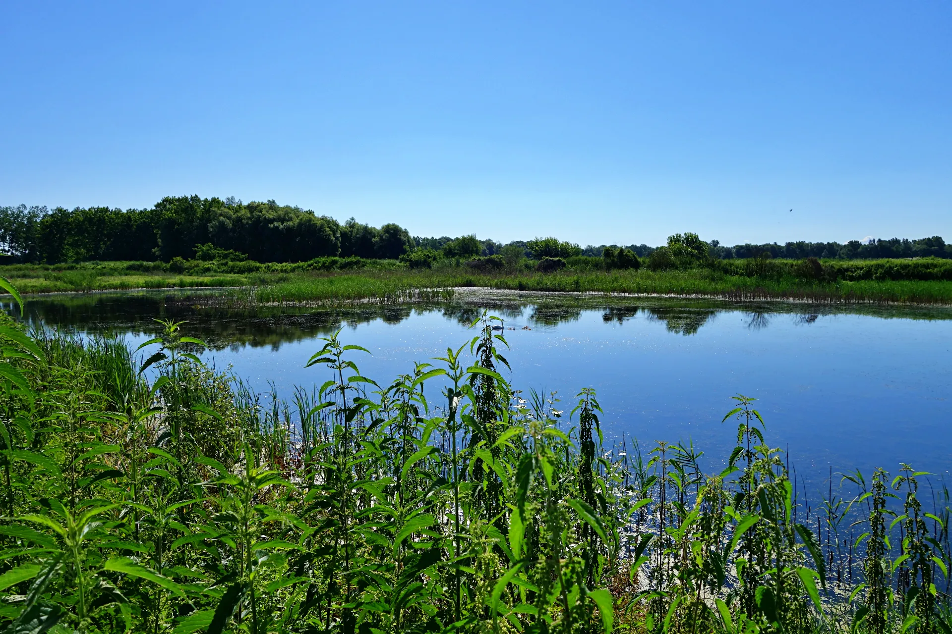 naravni-rezervat-ormoske-lagune-05