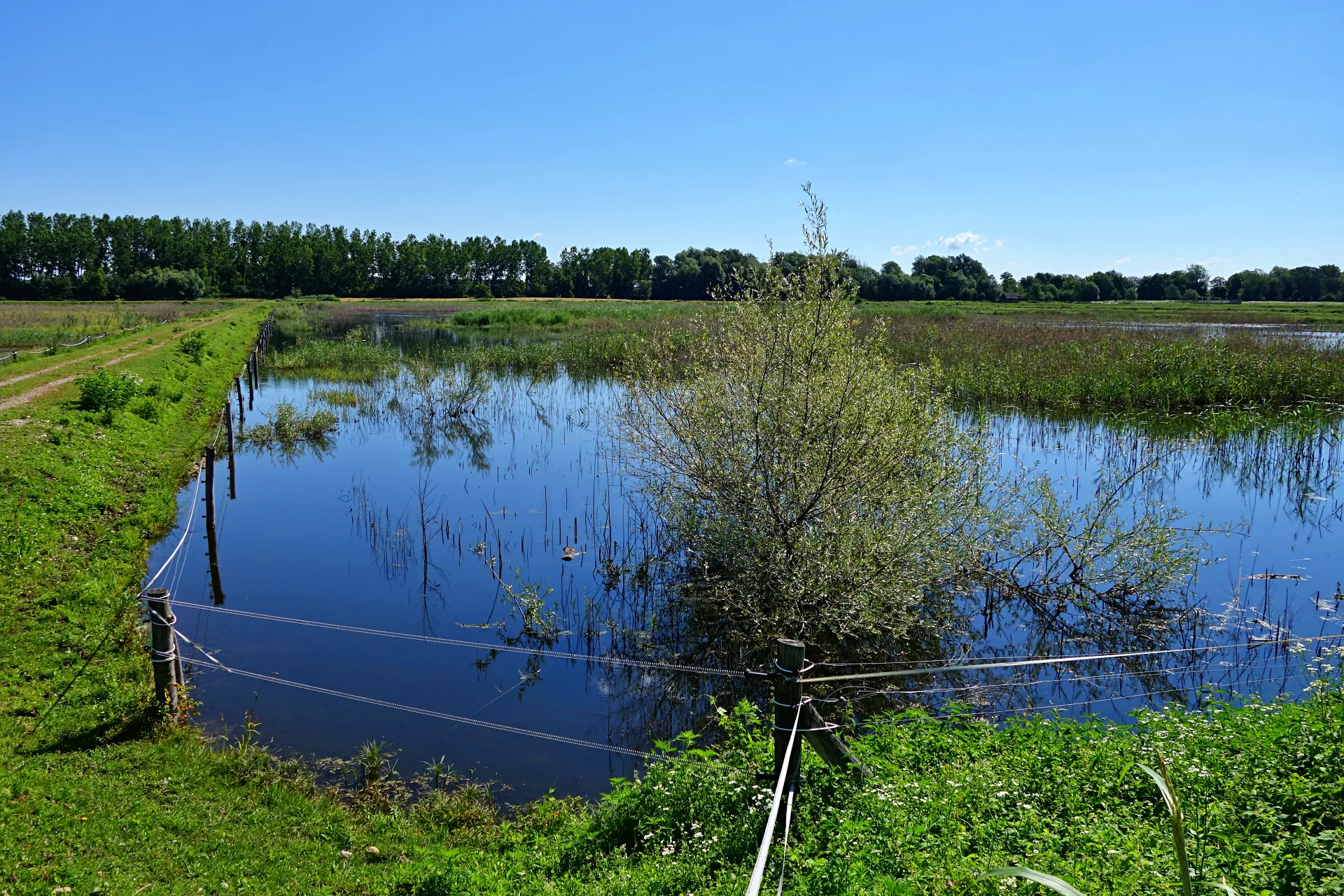 naravni-rezervat-ormoske-lagune-14