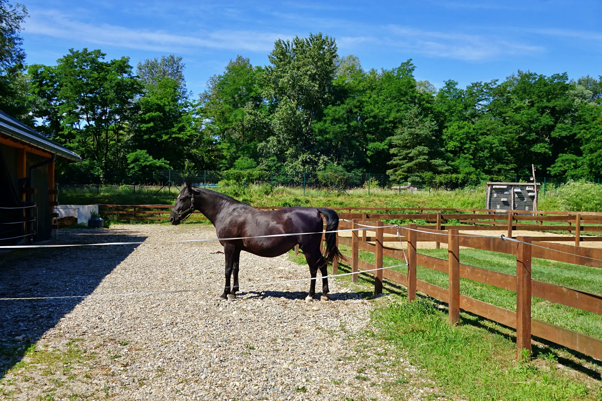 naravni-rezervat-ormoske-lagune-21