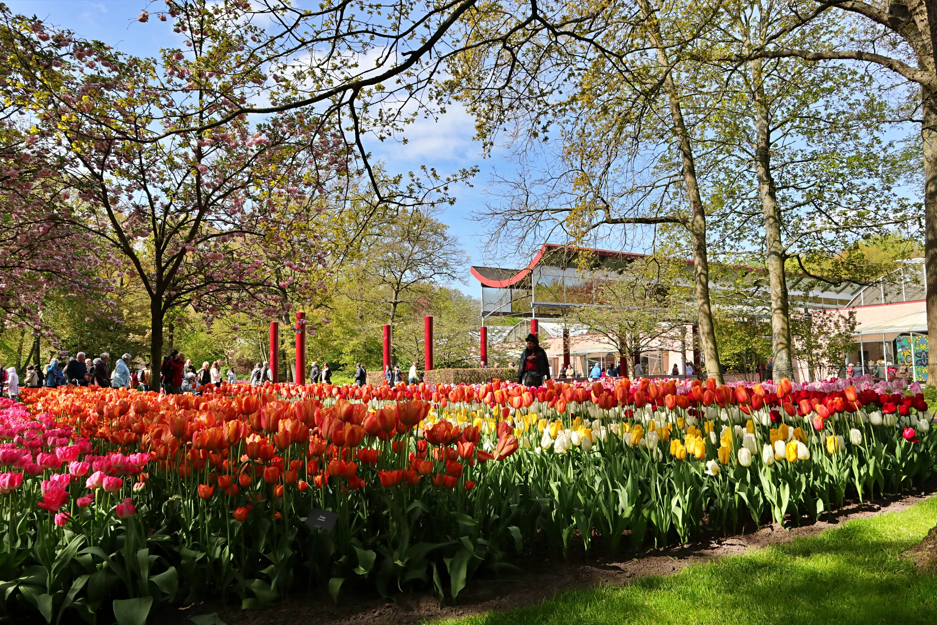 keukenhof-14