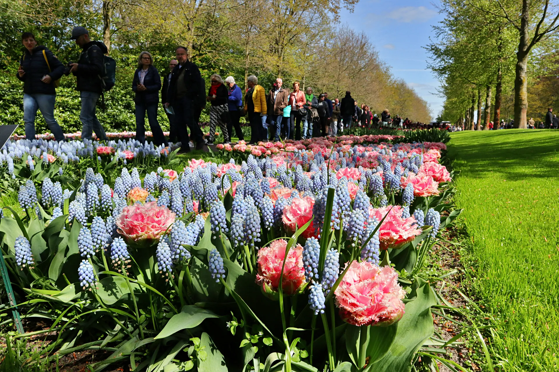 keukenhof-26