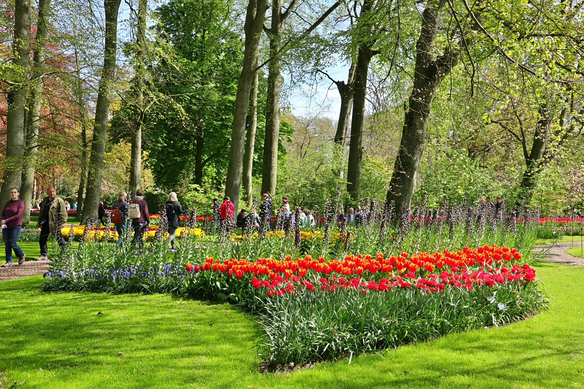 keukenhof-29