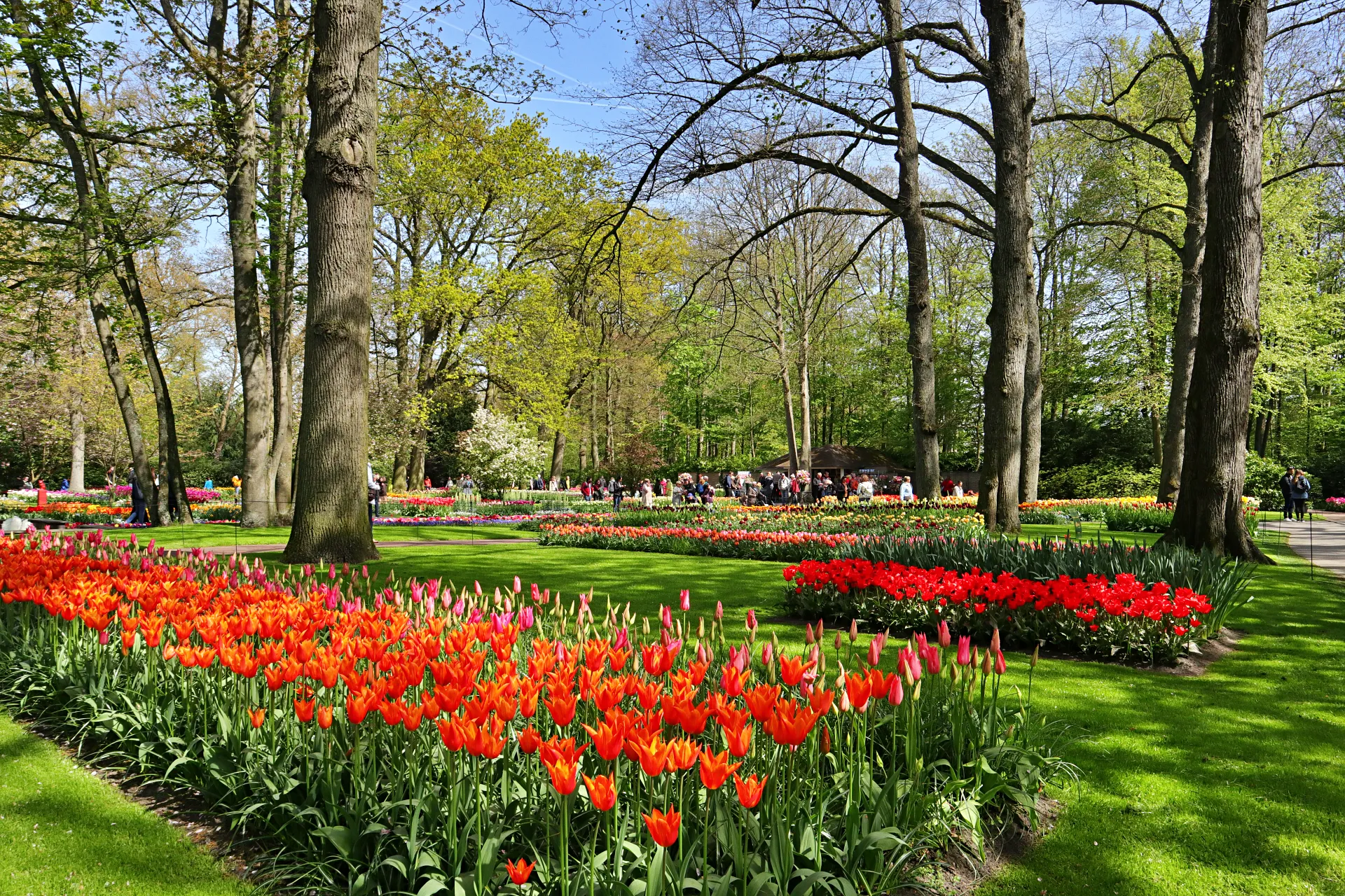 keukenhof-32