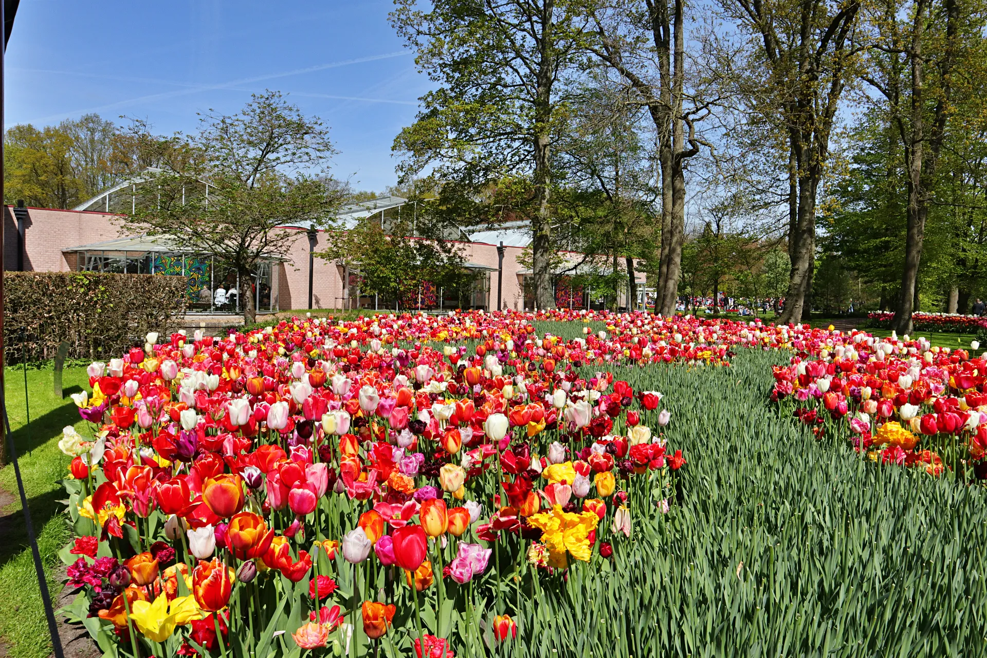 keukenhof-35