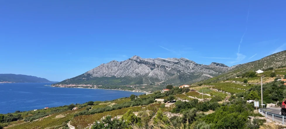 Vinogradništvo na Pelješcu: Romantična zgodba o soncu in vinu